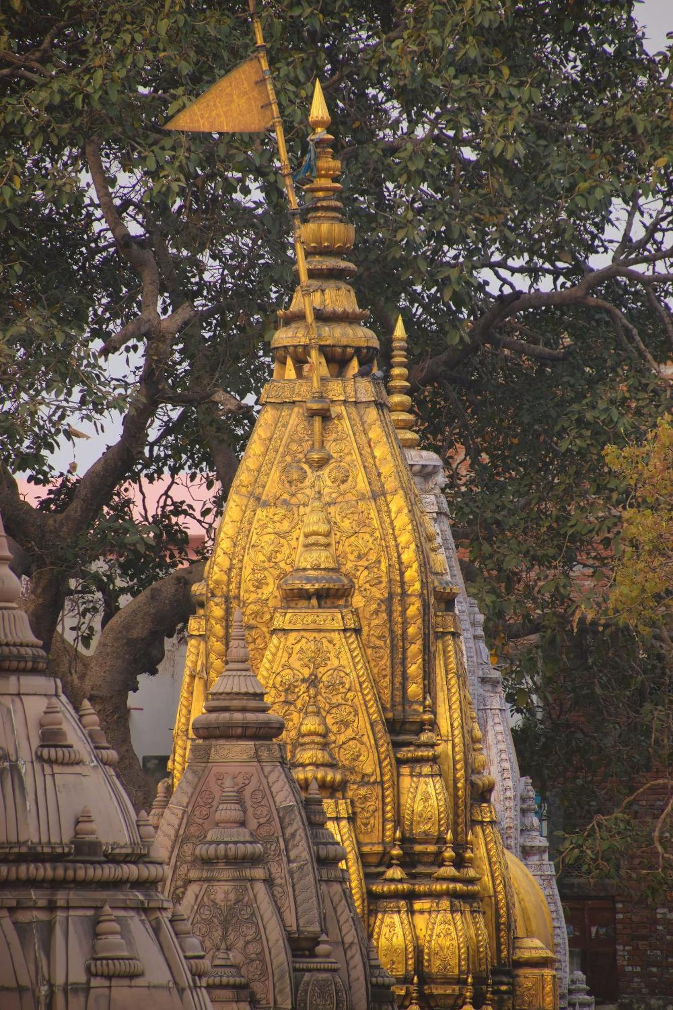 Sahu Near Kashi Vishwanath Temple Gate